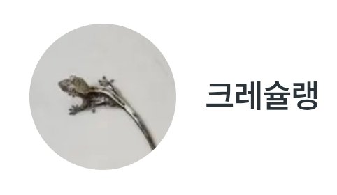 엠티백 슈퍼스트라이프 풀핀