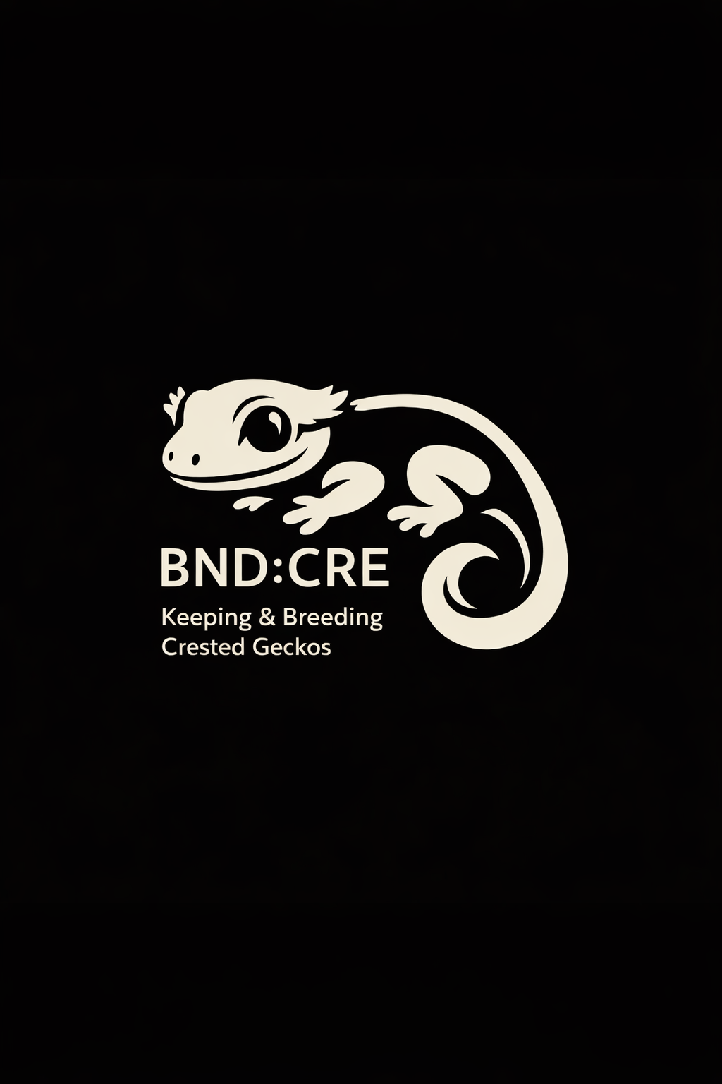 BNDcre