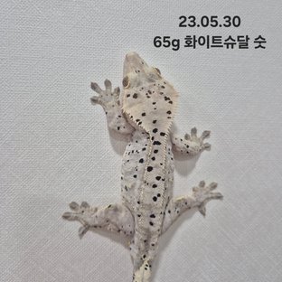 230530