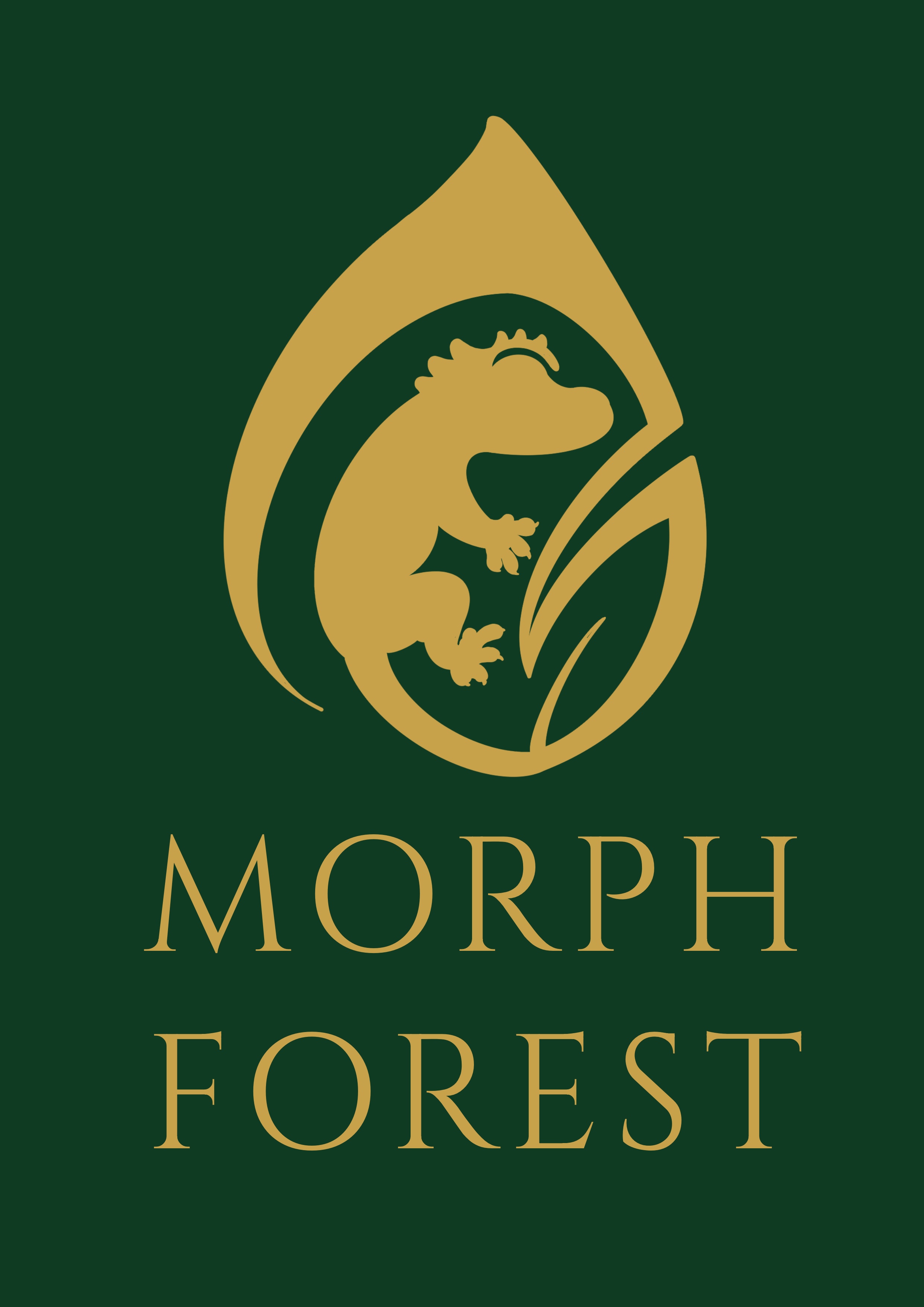 모프포레스트광주