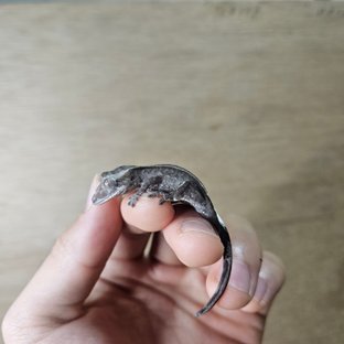 아잔틱 카푸치노