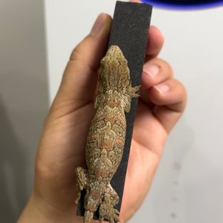 다스몰 노멀
