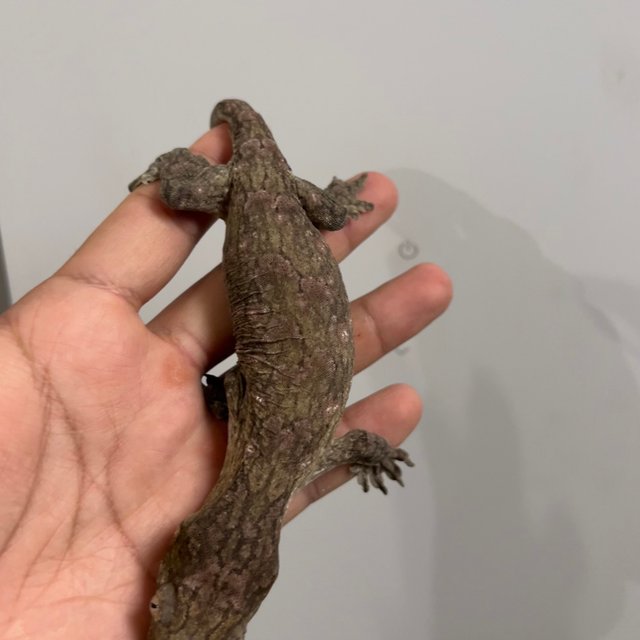 트루 컬러 하이 컬러