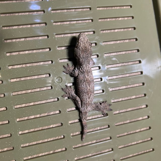 트루 컬러 하이 컬러