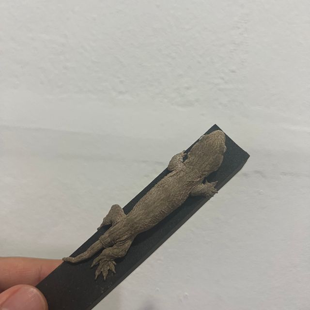 레드바 브로쓰