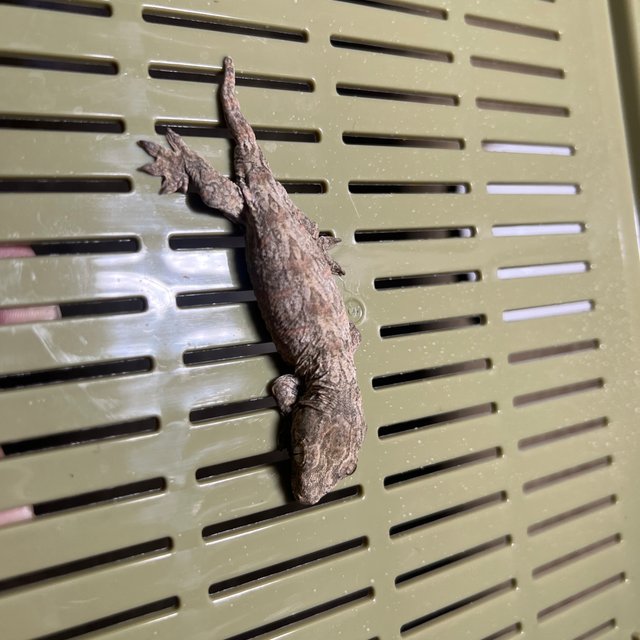 트루 컬러 하이 컬러