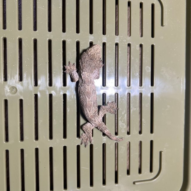 트루 컬러 하이 컬러