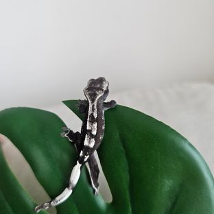 오르카
