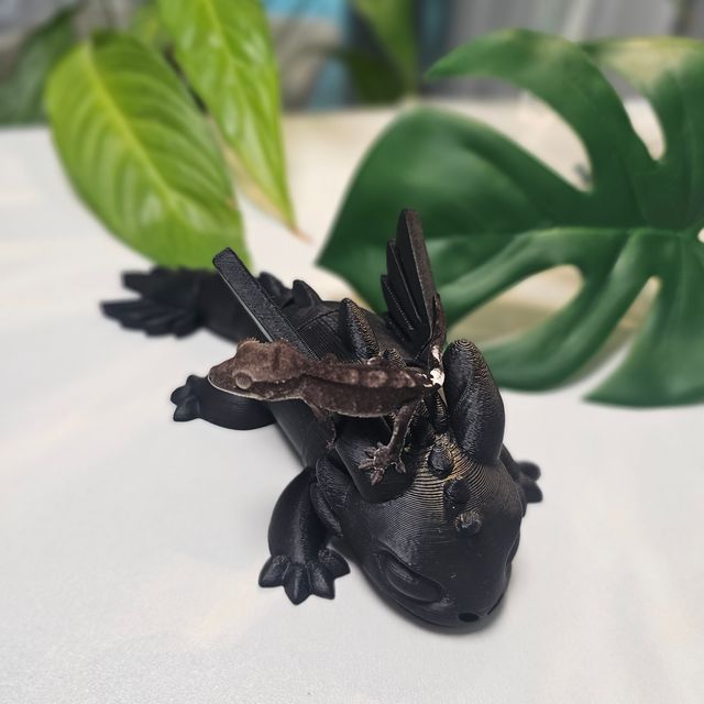 카푸치노 아잔틱 팬텀