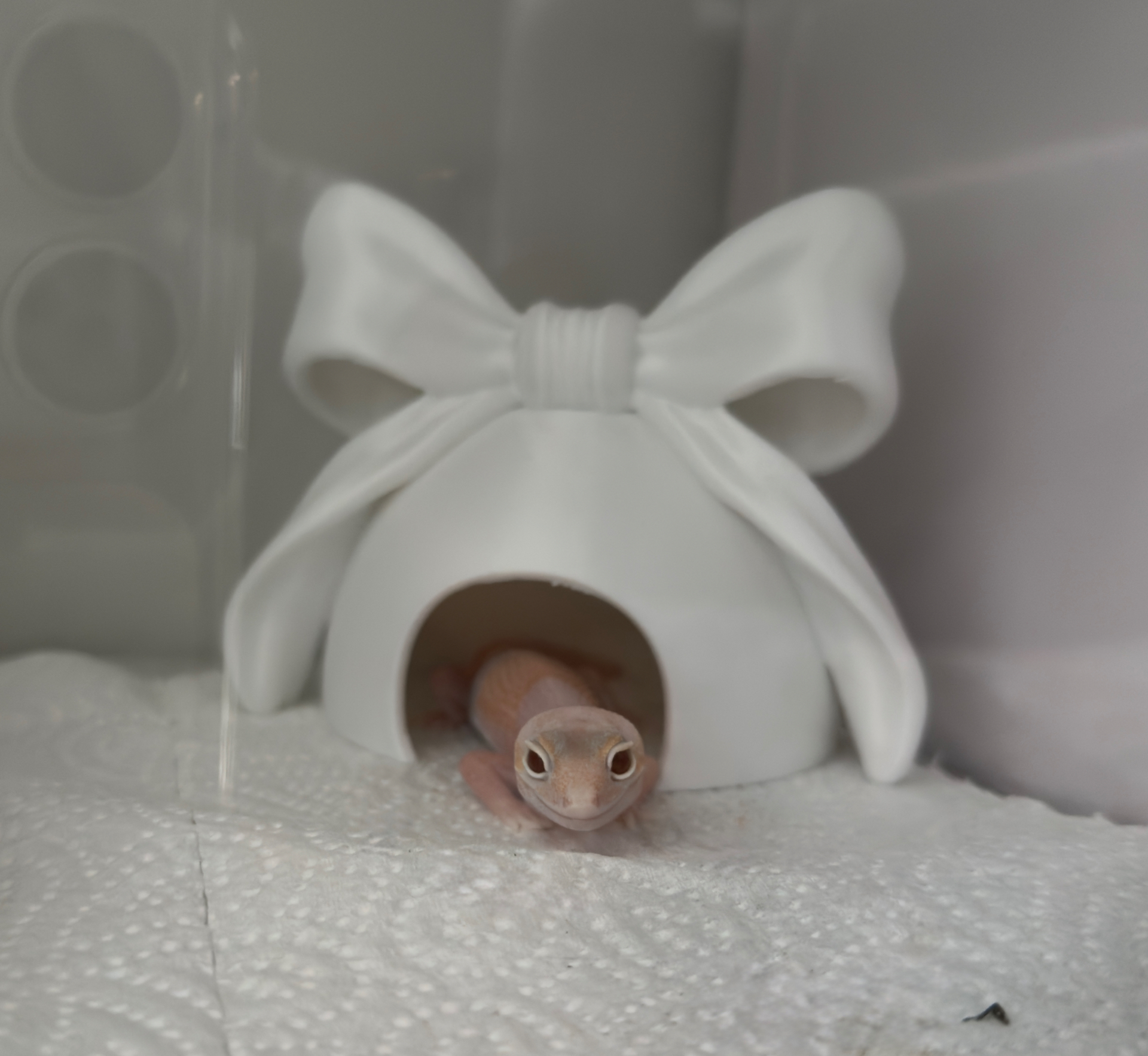 기뮤