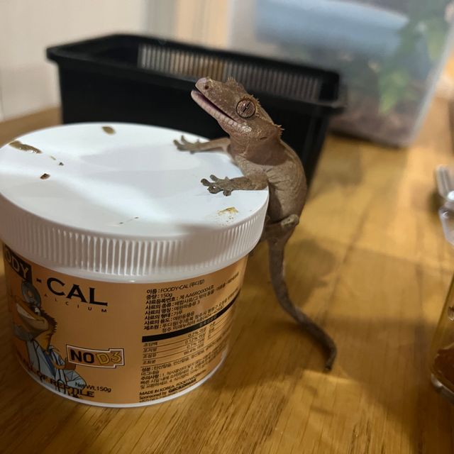 바이 레드