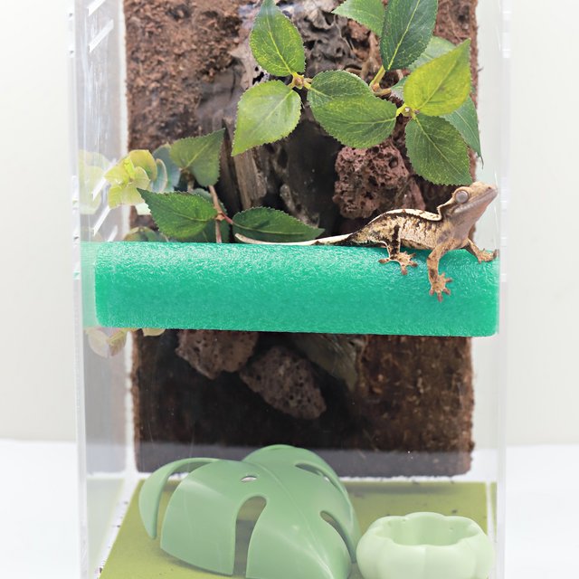 익스트림할리퀸 트라이