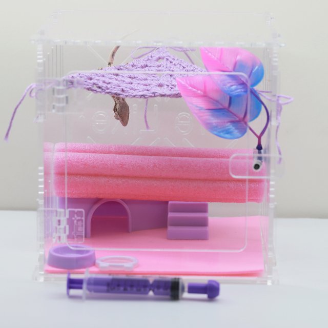 릴리화이트 솔리드백