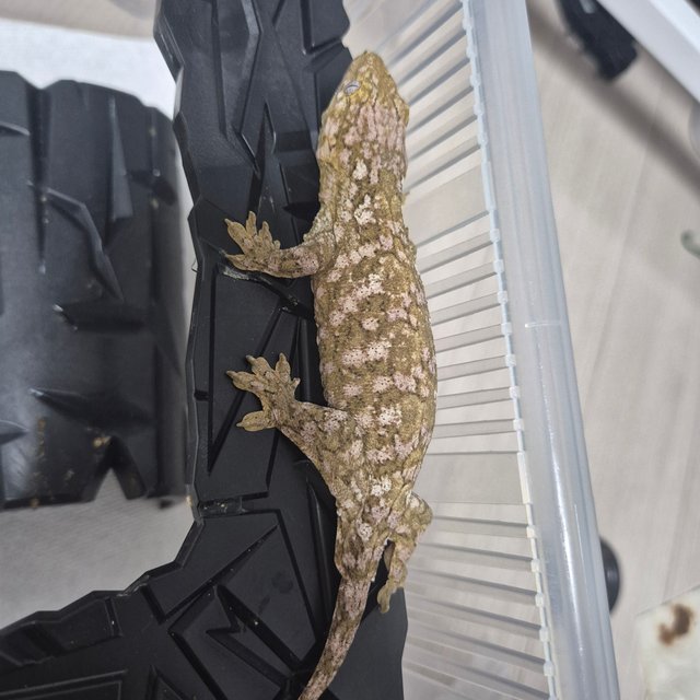 하이 컬러 트루 컬러