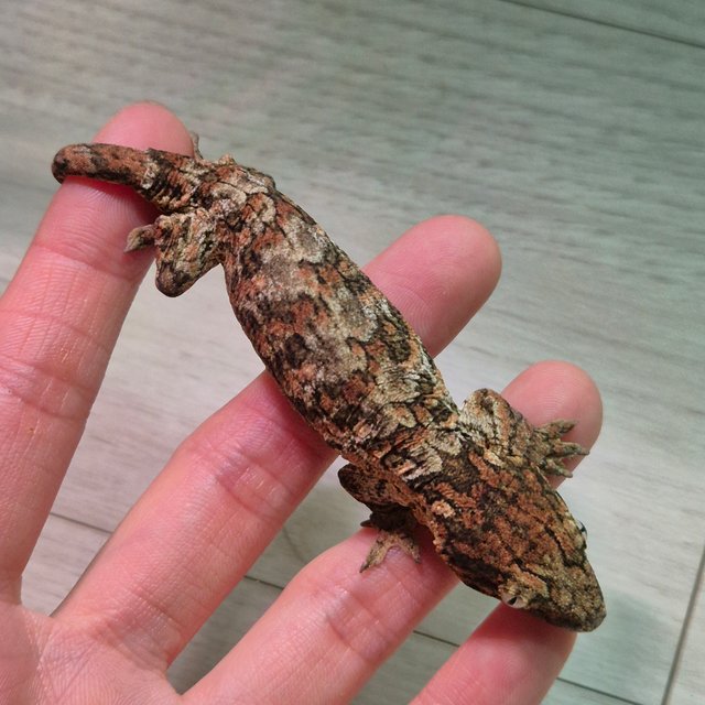 하이 컬러 트루 컬러