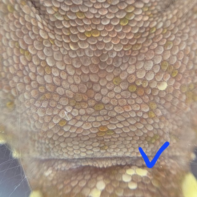 레드 바이 화이트포트홀