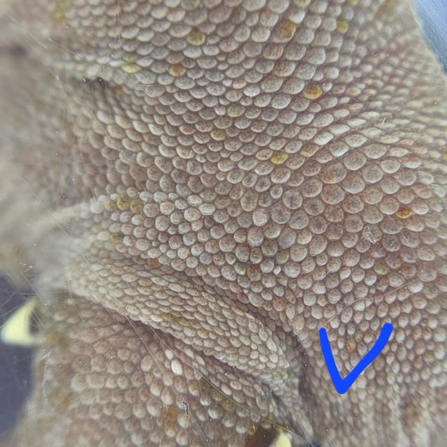 레드 바이 화이트포트홀