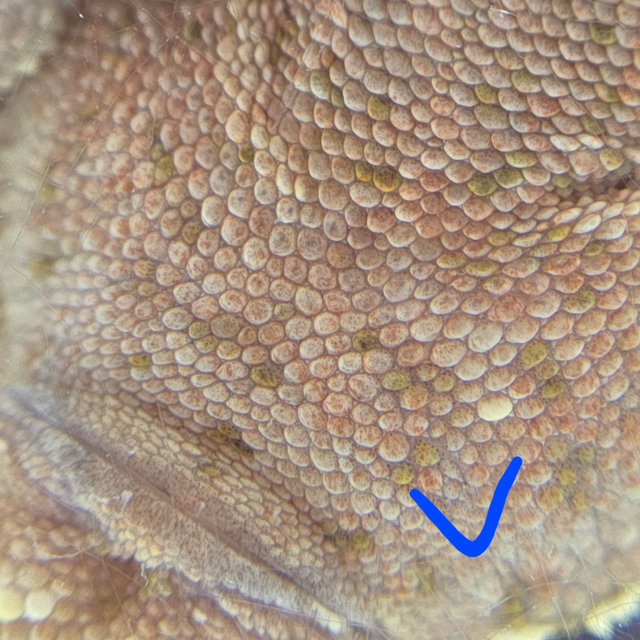 레드 바이 화이트포트홀