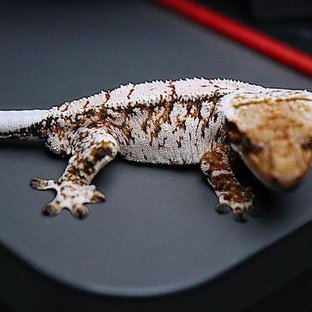 무커