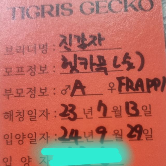 카푸치노 100%헷아잔틱