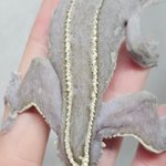 경매 답변 이미지