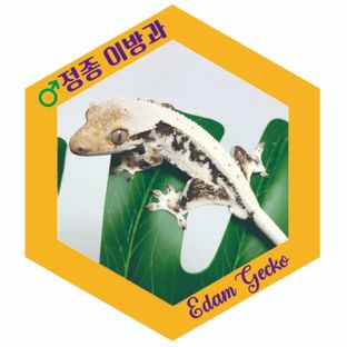 정종 이방과