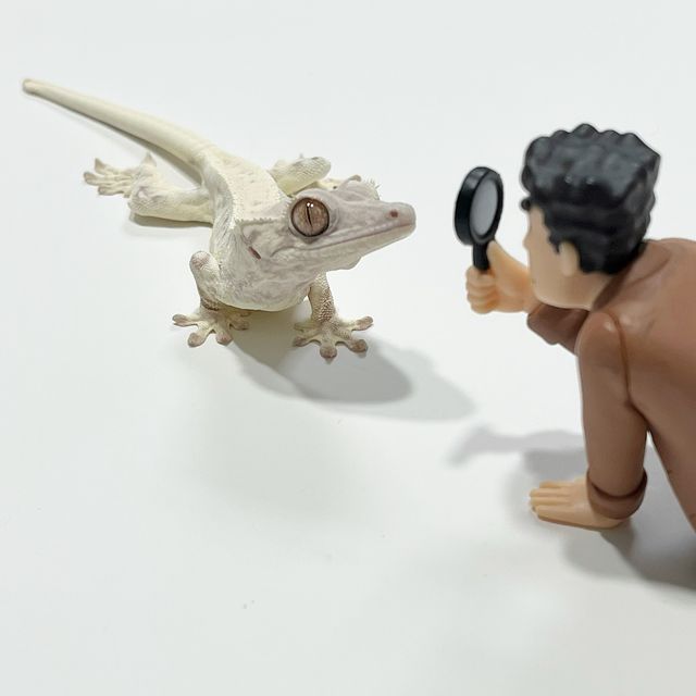 프라푸치노