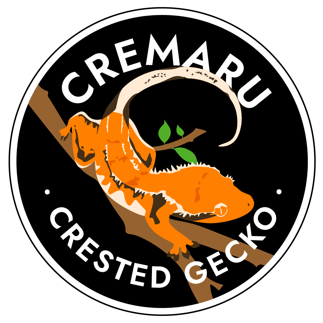 크레마루입니다