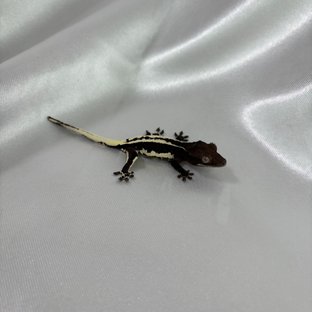 릴잔틱