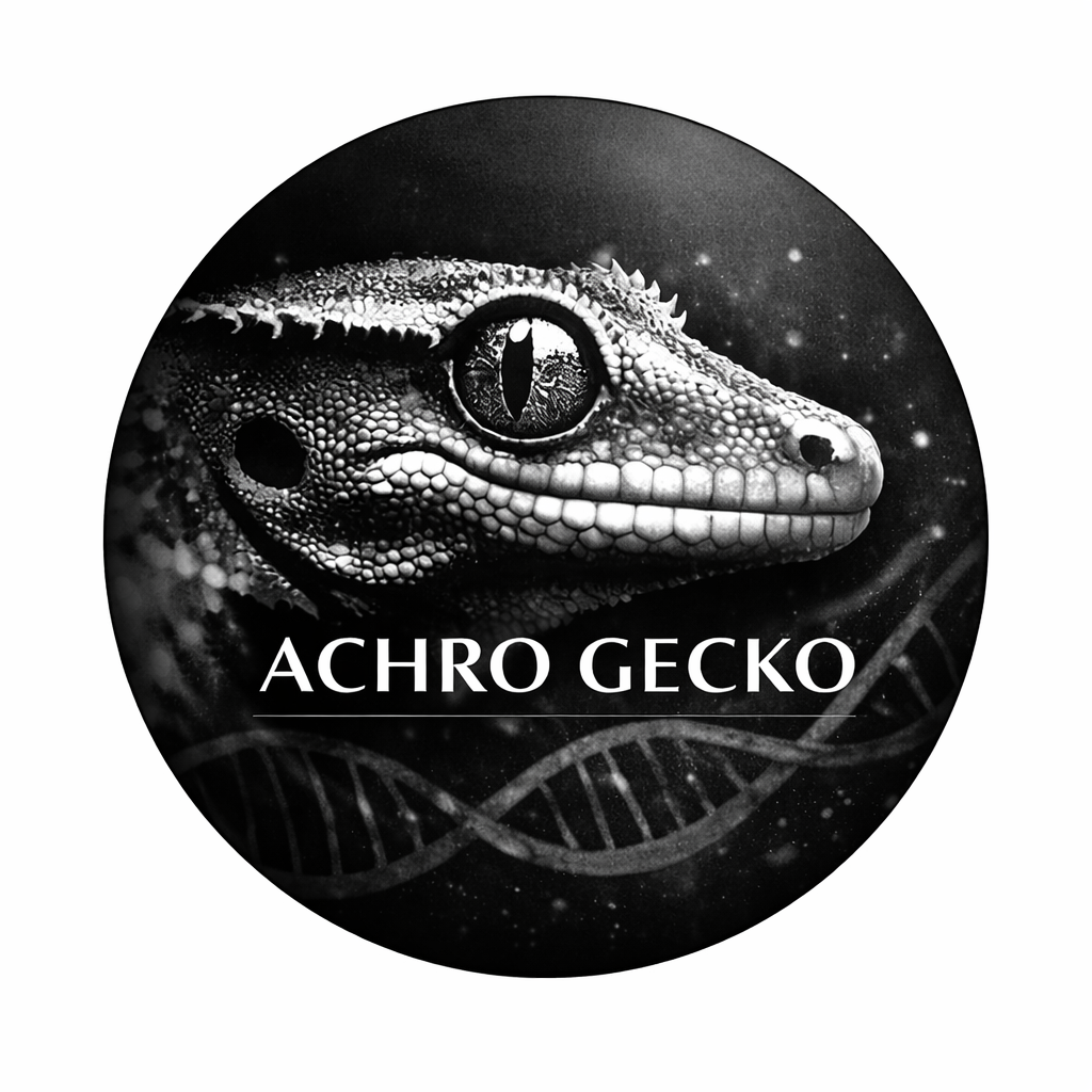 AchroGecko