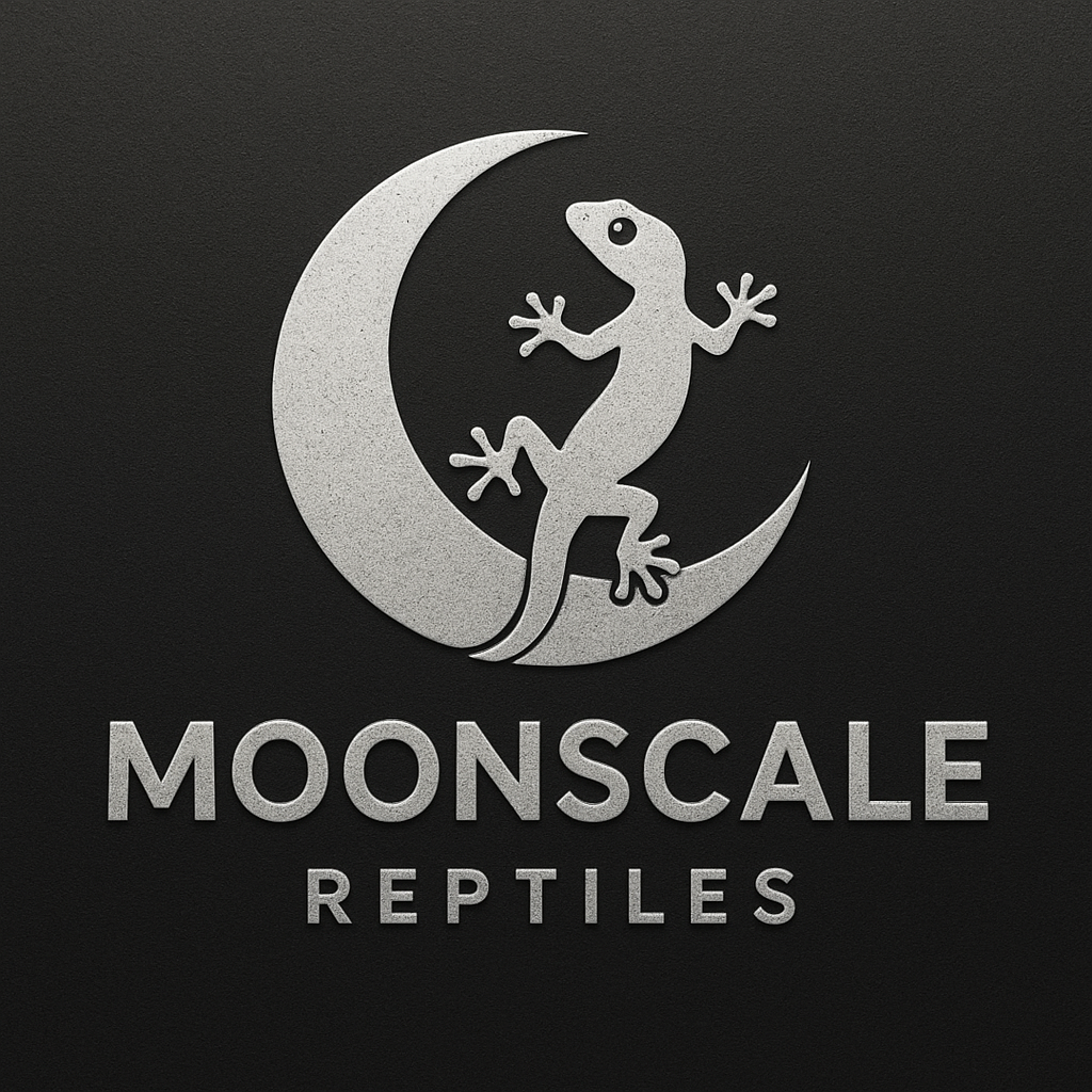 문스케일렙타일