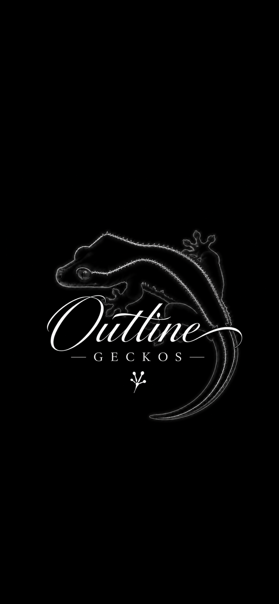 OutlineGeckos