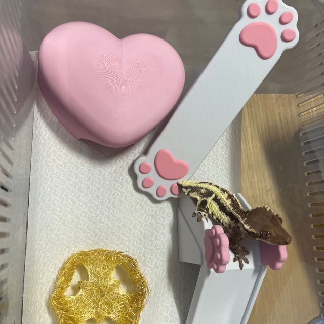 프라푸치노