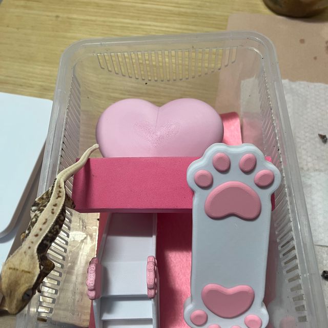 풀핀 화이트스팟 릴리화이트