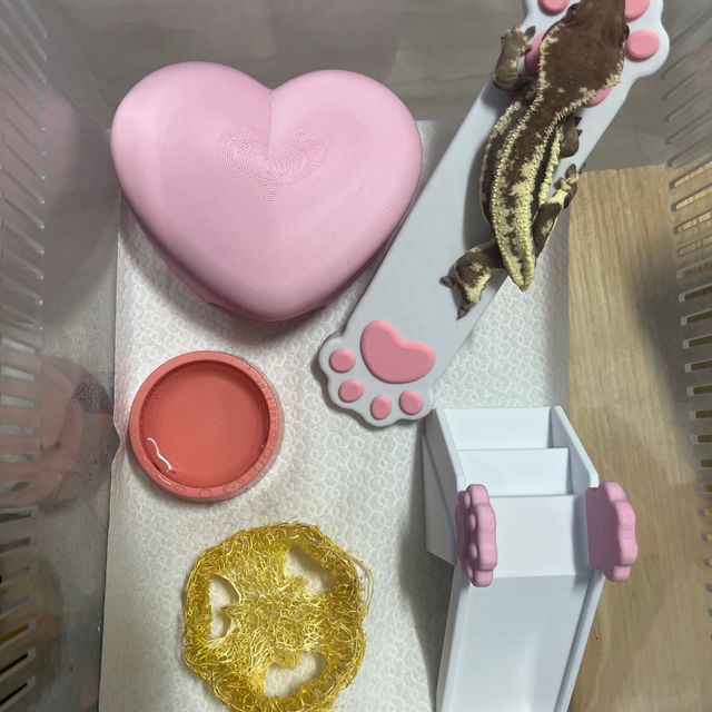 프라푸치노