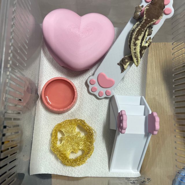 프라푸치노