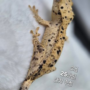 소금