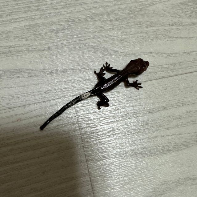 챠콜 카푸치노
