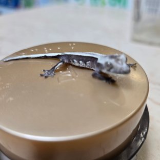 아잔틱