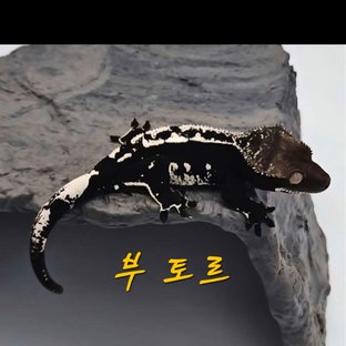 다락