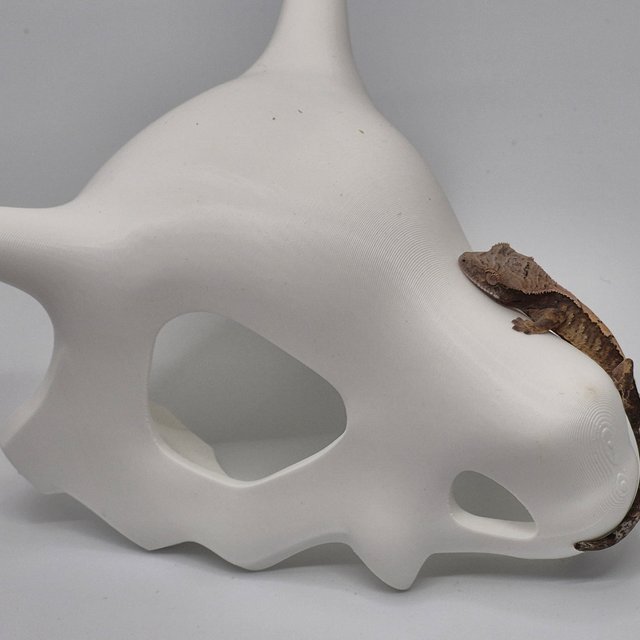 100%헷아잔틱 세이블