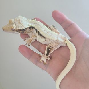 S3