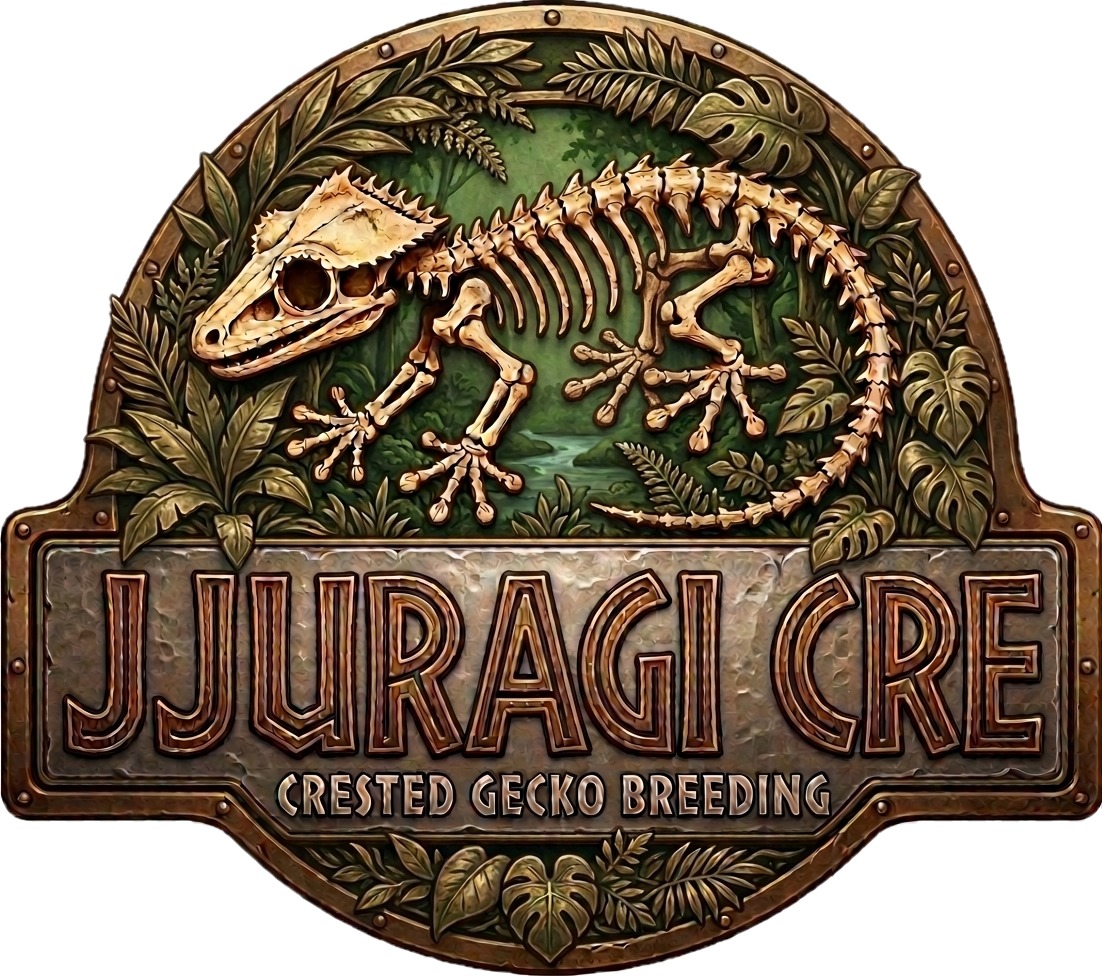 JJURAGI
