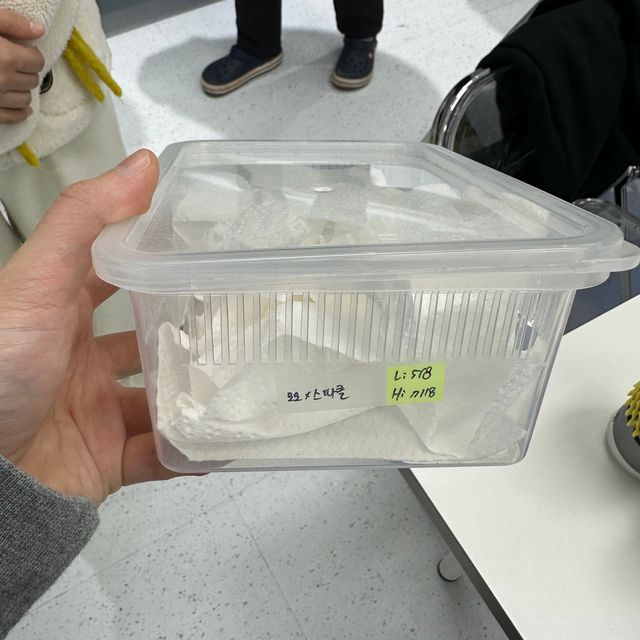 노멀