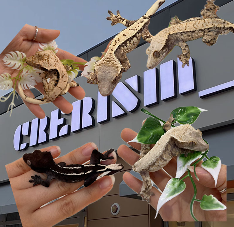 크레리즘청라점