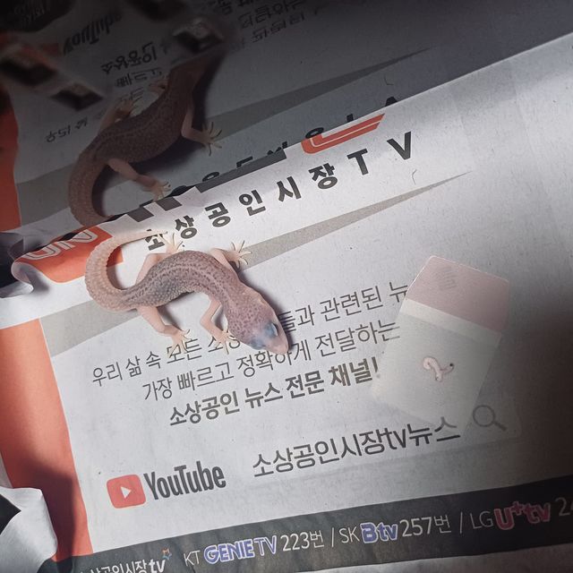 갤럭시