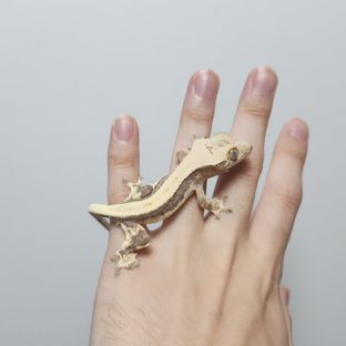 6번
