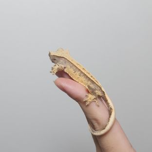 3번