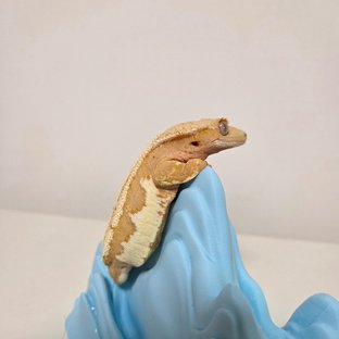 구름