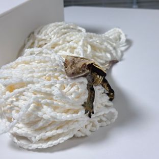 노멀 엠티백 풀핀
